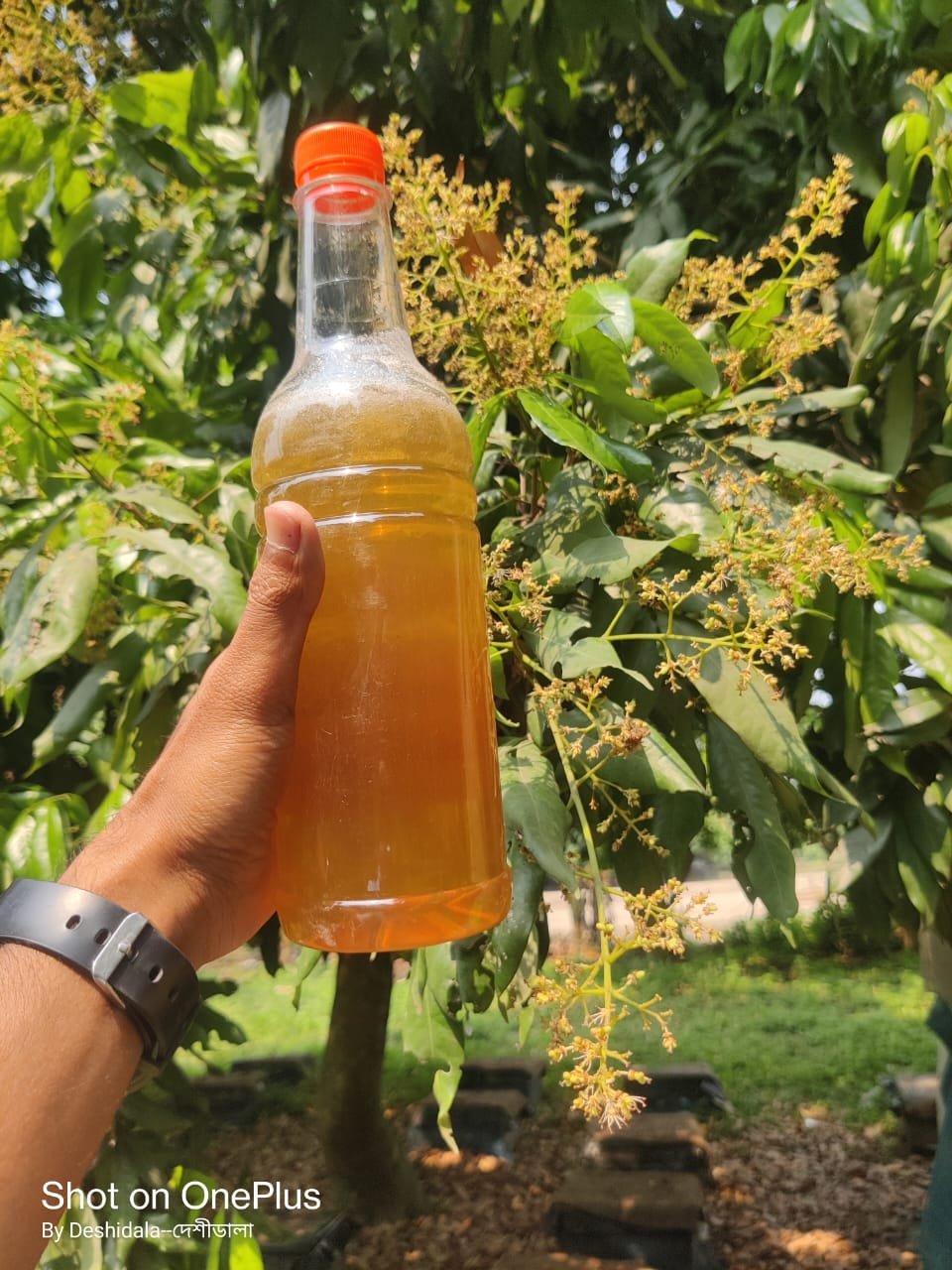 WhatsApp Image 2026-03-27 at 7.44.59 PM (1)