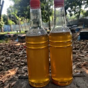 লিচু ফুলের মধু (১কেজি)