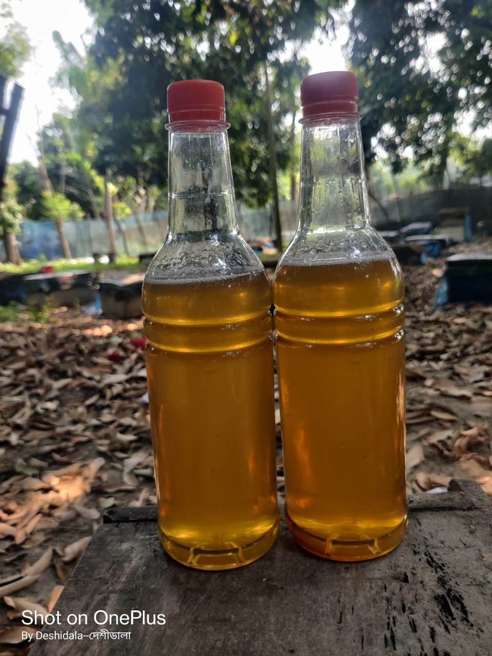 WhatsApp Image 2026-03-27 at 7.44.59 PM