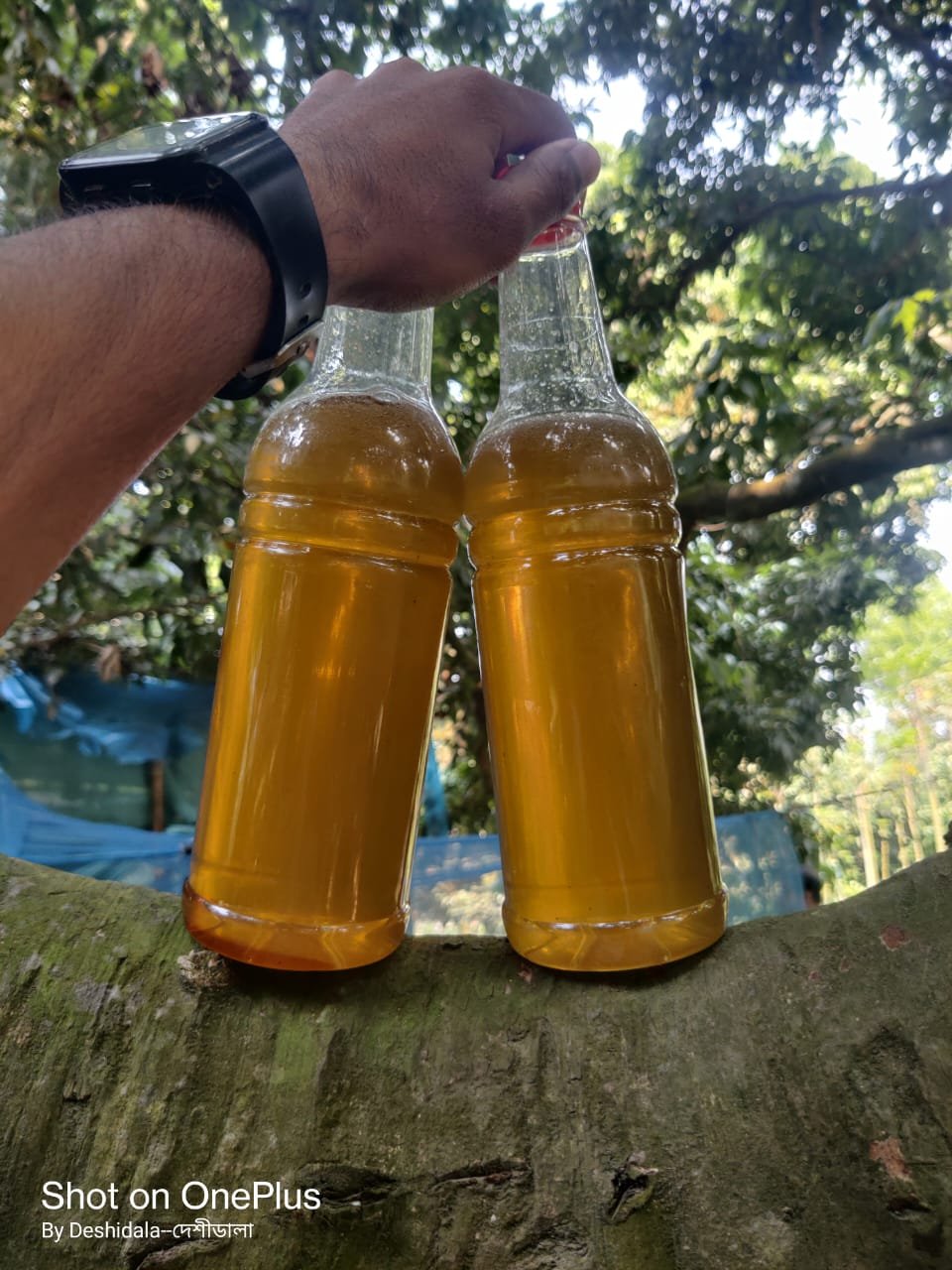 WhatsApp Image 2026-03-27 at 7.45.00 PM